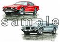 Aston Martin AMV8 & Volante